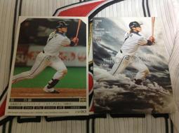 北海道日本火腿 舊款全新未拆球團認證 浮雕logo球1顆450元起標 王柏融 陽岱鋼 大谷翔平 達比修有 絕版 歷史價格詳細信息