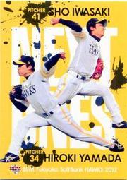 山田勇樹專用特製鏢袋 歷史價格詳細信息