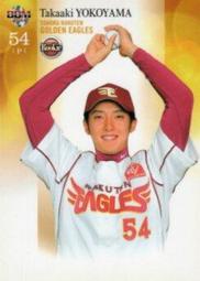 明貴笛子初學成人兒童入門橫笛兩節F調小G調精制專業竹笛古風樂器~熱賣款 歷史價格詳細信息