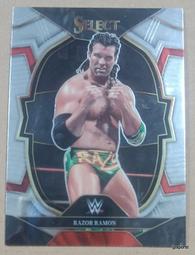 RAZOR WIRE FENCE Paradise Lost Doomtrooper 1st Ed English NM/M 歷史價格詳細信息