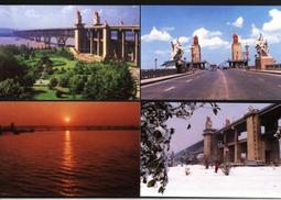 南京古雞鳴手串手錬白玉菩提蓮花款代請男女款真正的佛珠學生 歷史價格詳細信息