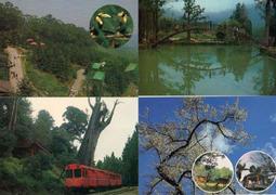 台灣風景明信片中山堂，總統府，監察院 歷史價格詳細信息