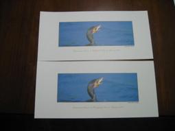 【清倉拍賣】蘋果iPhone8水凝膜~8 plus螢幕保護貼~全屏覆蓋無白邊 高清軟膜 滿版~送貼膜神器 歷史價格詳細信息