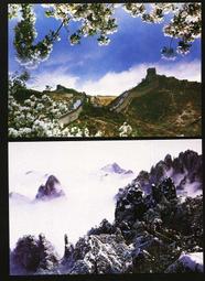 老照片5張，背白，30。 古玩 老物件 舊藏 -6518 歷史價格詳細信息