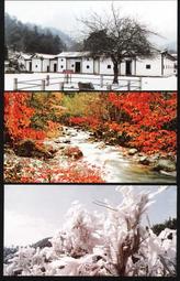 ★★--老明信片--關山月--李白--趙球畫---著名美術家繪畫作品精賞--唐詩宋詞---069--01--★★ 歷史價格詳細信息