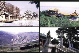 撫順天然凈水琥珀植物珀豆油紅項鏈108干凈秀氣禮物復古手鏈簡約 歷史價格詳細信息