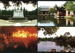 南京古雞鳴手串手錬白玉菩提蓮花款代請男女款真正的佛珠學生 歷史價格詳細信息