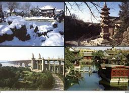 南京古雞鳴手串手錬白玉菩提蓮花款代請男女款真正的佛珠學生 歷史價格詳細信息