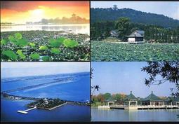 湖東燒 約清代中晚期 青花硯臺  漢代瓦當圖案 常樂未央 日44262 歷史價格詳細信息