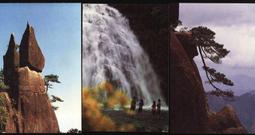 老式三清鈴鎏金銅手搖鈴道士八卦純銅法鈴手搖鈴三叉銅鈴法會 歷史價格詳細信息