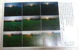 土鳳梨圈  150克/ 包【台北譽展蜜餞行】 歷史價格詳細信息