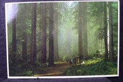 1984年國庫劵5 Pmg66分20498 歷史價格詳細信息