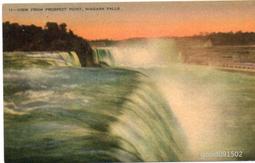 明信片- 空白明信片 早期 國外 信鴿賀卡 明信片 歷史價格詳細信息