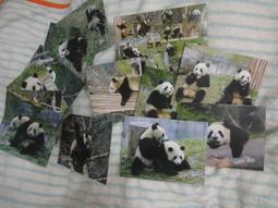 熊熊公園 Barenpark Bear Park 繁體中文版 台北陽光桌遊商城 歷史價格詳細信息