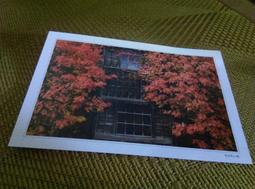 【小樽漁場】日本北海道 原味帆立貝 280g/袋(日式零嘴 下酒小菜) 歷史價格詳細信息