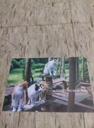 韓國濟州SamDaSoo（火山岩盤礦泉水）進口礦泉水 X團購20入【買1箱送1箱】 歷史價格詳細信息