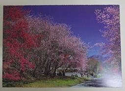 明信片- 空白明信片 台中 早期 中正公園 明信片 歷史價格詳細信息