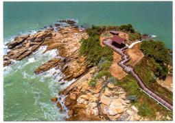 明信片- 空白明信片 郵政博物館 明信片 歷史價格詳細信息