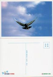明信片- 空白名信片 100年 龍 賀年抽獎明信片 五張 -實寄大陸東莞 銷台南臨局 歷史價格詳細信息