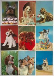 來自義大利 35 張 二手舊明信片 - 動物 歷史價格詳細信息