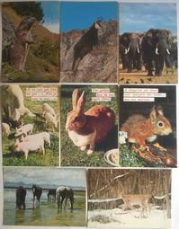 [[二手 私物自售 無附件 品牌真品]] YSL 女包 立體大花肩背包 歷史價格詳細信息