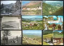 60張草本紋身貼 ins風果汁草木半永久刺青仿真持久防水男女不反光 歷史價格詳細信息