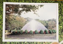 明信片- 空白明信片 法國上薩瓦省 haute-savoie 明信片 歷史價格詳細信息