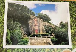 毋忘在莒 金牌 金門一條根精油貼布 6片/包 11CMx15CM 舒展放鬆 台灣生產製造 現貨  蝦皮直送 歷史價格詳細信息