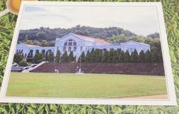 明信片- 空白明信片 台中 早期 中正公園 明信片 歷史價格詳細信息