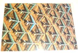 美國國土安全部DHS 海關與邊境保護局/CBP officer徽章 歷史價格詳細信息