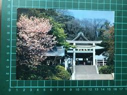 日本鐮倉雕實木牡丹茶托杯墊15215 歷史價格詳細信息