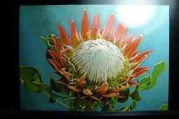 [封韻郵存]-198X年 韓國 HOTEL SEOUL GARDEN明信片 N141 歷史價格詳細信息