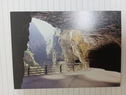 明信片- 空白名信片 100年 龍 賀年抽獎明信片 五張 -實寄大陸東莞 銷台南臨局 歷史價格詳細信息