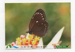 明信片- 空白名信片 100年 龍 賀年抽獎明信片 五張 -實寄大陸東莞 銷台南臨局 歷史價格詳細信息