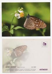 明信片- 空白名信片 100年 龍 賀年抽獎明信片 五張 -實寄大陸東莞 銷台南臨局 歷史價格詳細信息