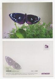 明信片- 空白名信片 100年 龍 賀年抽獎明信片 五張 -實寄大陸東莞 銷台南臨局 歷史價格詳細信息