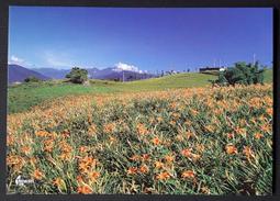 石嘴山ibc噸桶集裝桶全新1000l儲水桶化工桶方桶  量大優惠 歷史價格詳細信息