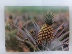 明信片- 空白名信片 100年 龍 賀年抽獎明信片 五張 -實寄大陸東莞 銷台南臨局 歷史價格詳細信息