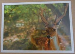 明信片- 空白明信片 歌仔戲 廖瓊枝 藝薪技傳 明信片 歷史價格詳細信息