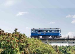 台南國寶南都寶塔113年歲末法會114年1月25號原天都寶塔客廉售天都骨灰位夫妻家族牌位撿骨骨灰罐16800全省塔位買賣 歷史價格詳細信息