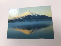 258  日本龍銀  銀幣  5錢  明治9年  後期 半跳明 歷史價格詳細信息