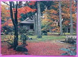 日本京都府郵便局當地特色明信片-龍安寺石庭(日本製) 歷史價格詳細信息