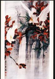 鸚鵡圖案 3d 印花夏季男士 T 恤大嘻哈休閒時尚陽光帥氣高品質 O 領短袖【滿299元發貨】 歷史價格詳細信息