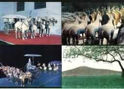 兵馬俑-秦文化特展圖錄 / 國立歷史博物館 歷史價格詳細信息