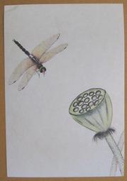 §§★§§---中國名畫欣賞---蓮花---張大千---13---第2輯10之07---雜畫系列---★繪畫藝術明信片 歷史價格詳細信息