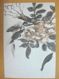 §§★§§---中國名畫欣賞---花卉冊(七)雁來紅---吳昌碩---16---第4輯10之03---雜畫系列---★繪畫藝術明信片 歷史價格詳細信息