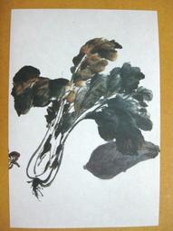 §§★§§---中國名畫欣賞---雜畫冊之四---八大山人---06---第4輯10之09---花鳥一系列---★繪畫藝術明信片 歷史價格詳細信息