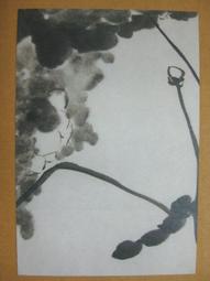 §§★§§---中國名畫欣賞---七月新篁圖---鄭燮(鄭板橋)---19---第5輯10之05---蘭竹系列---★繪畫藝術明信片 歷史價格詳細信息