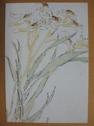 §§★§§---中國名畫欣賞---水仙---金農---22---第5輯10之04---花卉系列---★繪畫藝術明信片 歷史價格詳細信息