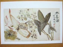 §§★§§---中國名畫欣賞---水仙---金農---22---第5輯10之04---花卉系列---★繪畫藝術明信片 歷史價格詳細信息